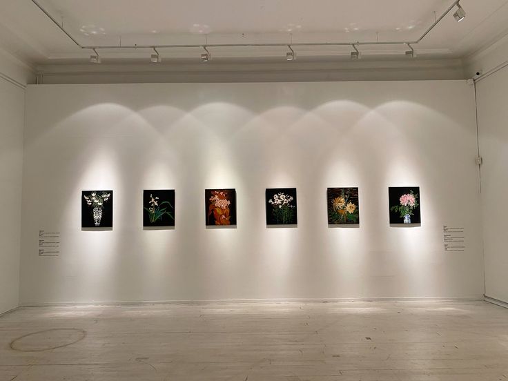 CDMX Galleries You Actually Need to Know