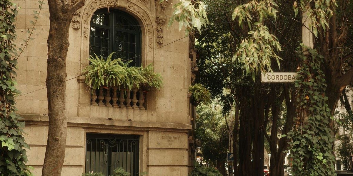 Cool Things to Do in CDMX This May