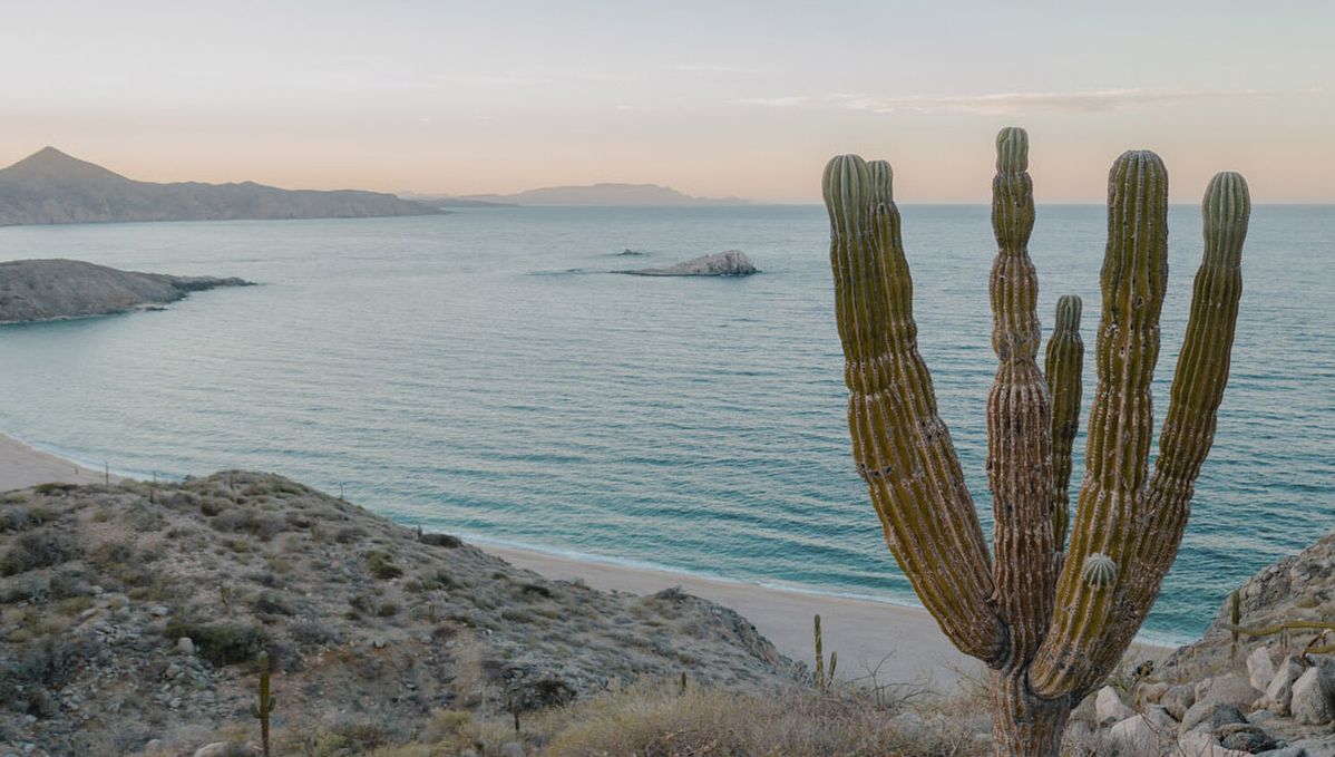 BAJA CALIFORNIA ROAD TRIP