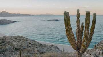 BAJA CALIFORNIA ROAD TRIP